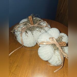 Handcrafted, Sweater Pumpkins, Moss. Cinnamon Stick Stem.